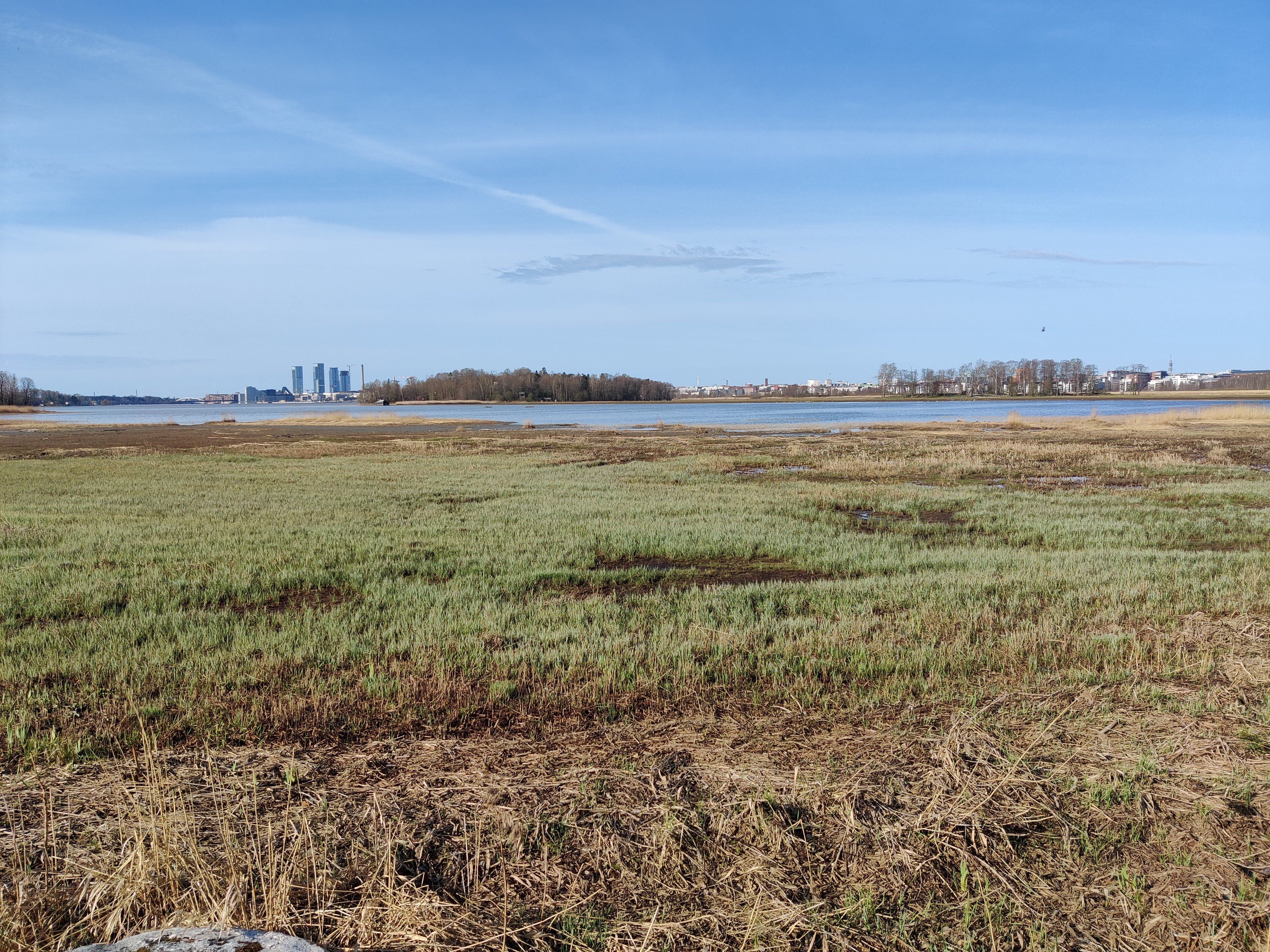 Wetlands in Helsinki in May