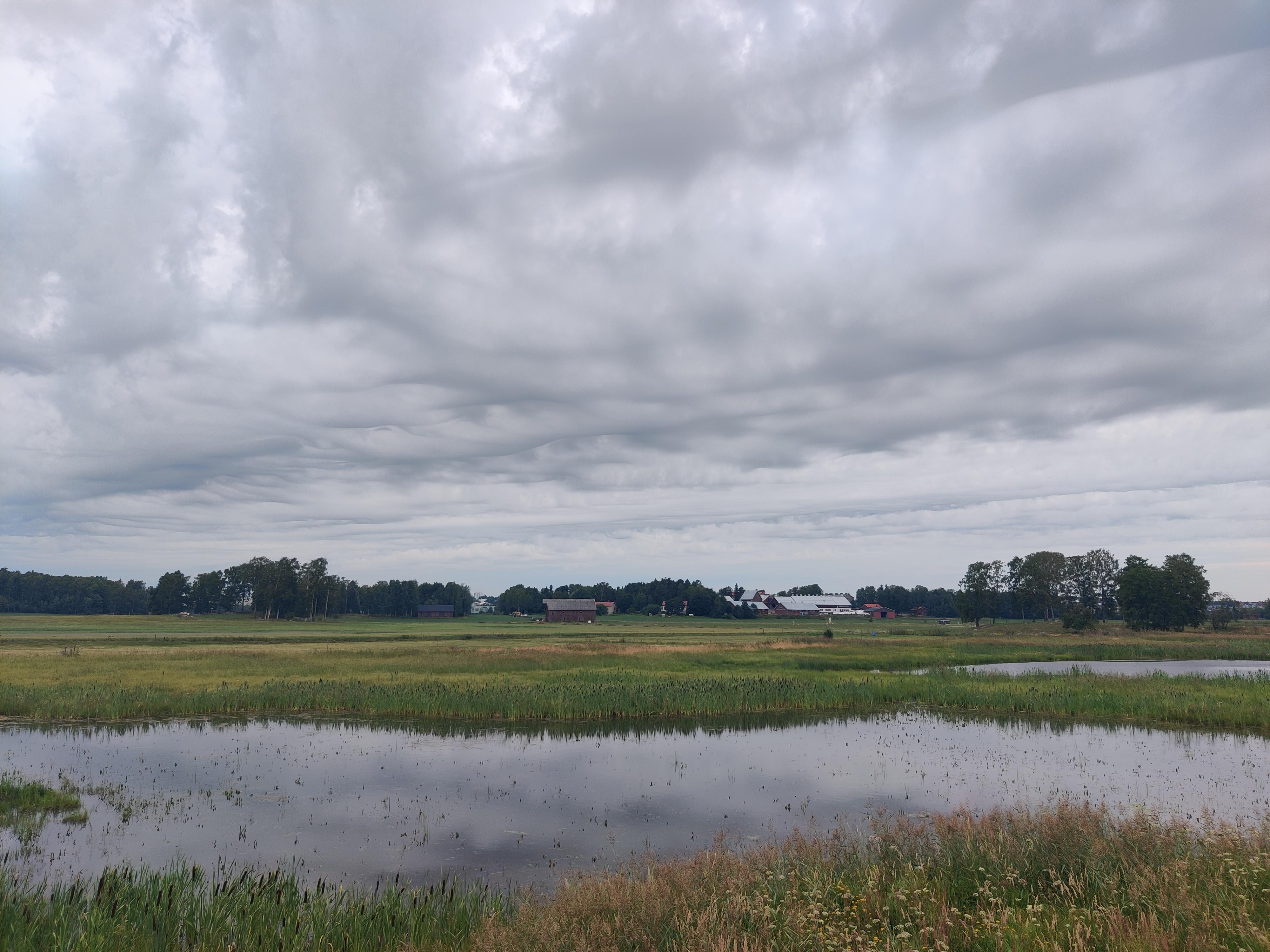 Wetlands and moody skies in Helsinki, on the edge of the city