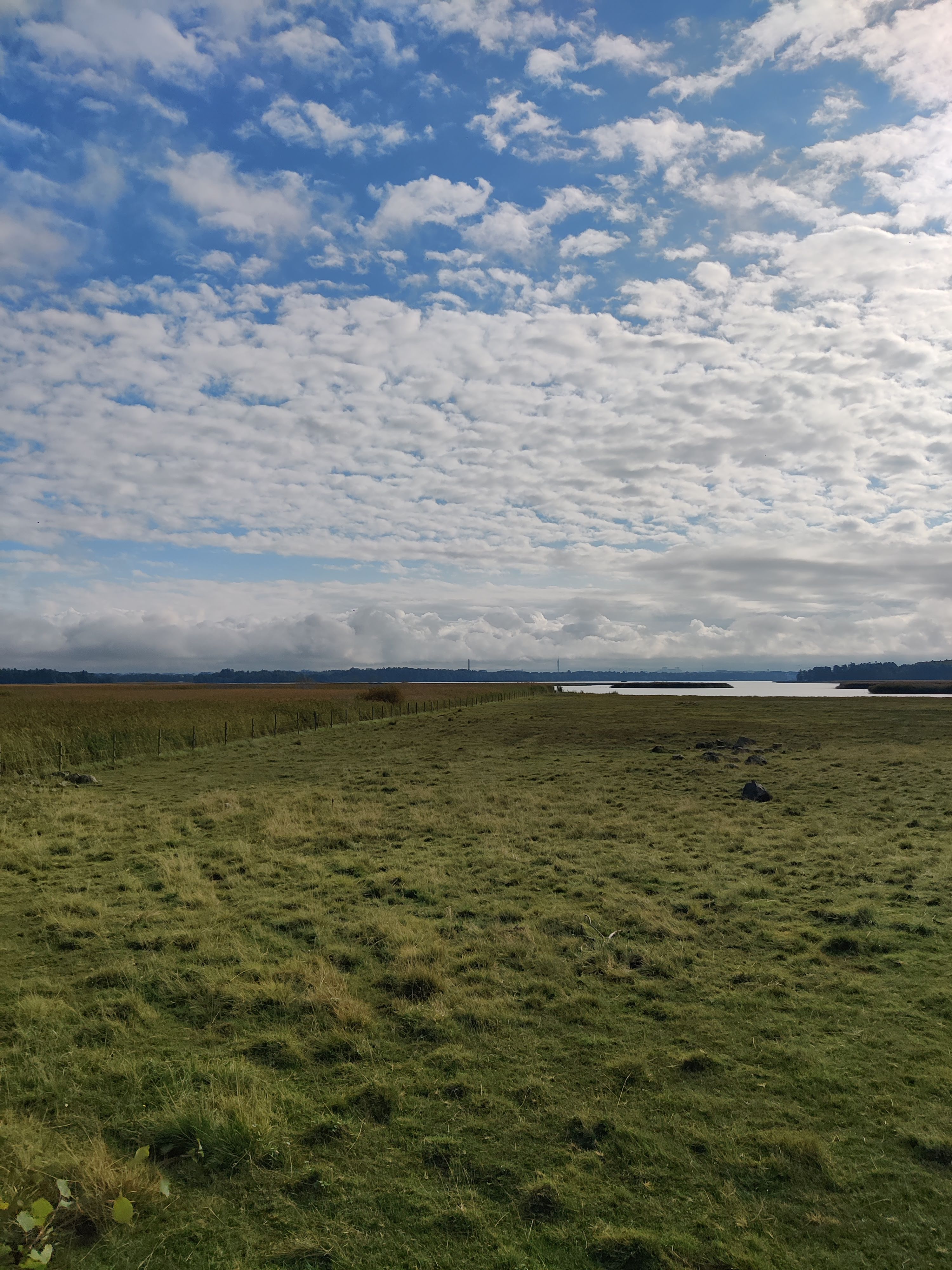 The fields where we saw Red-backed Shrikes