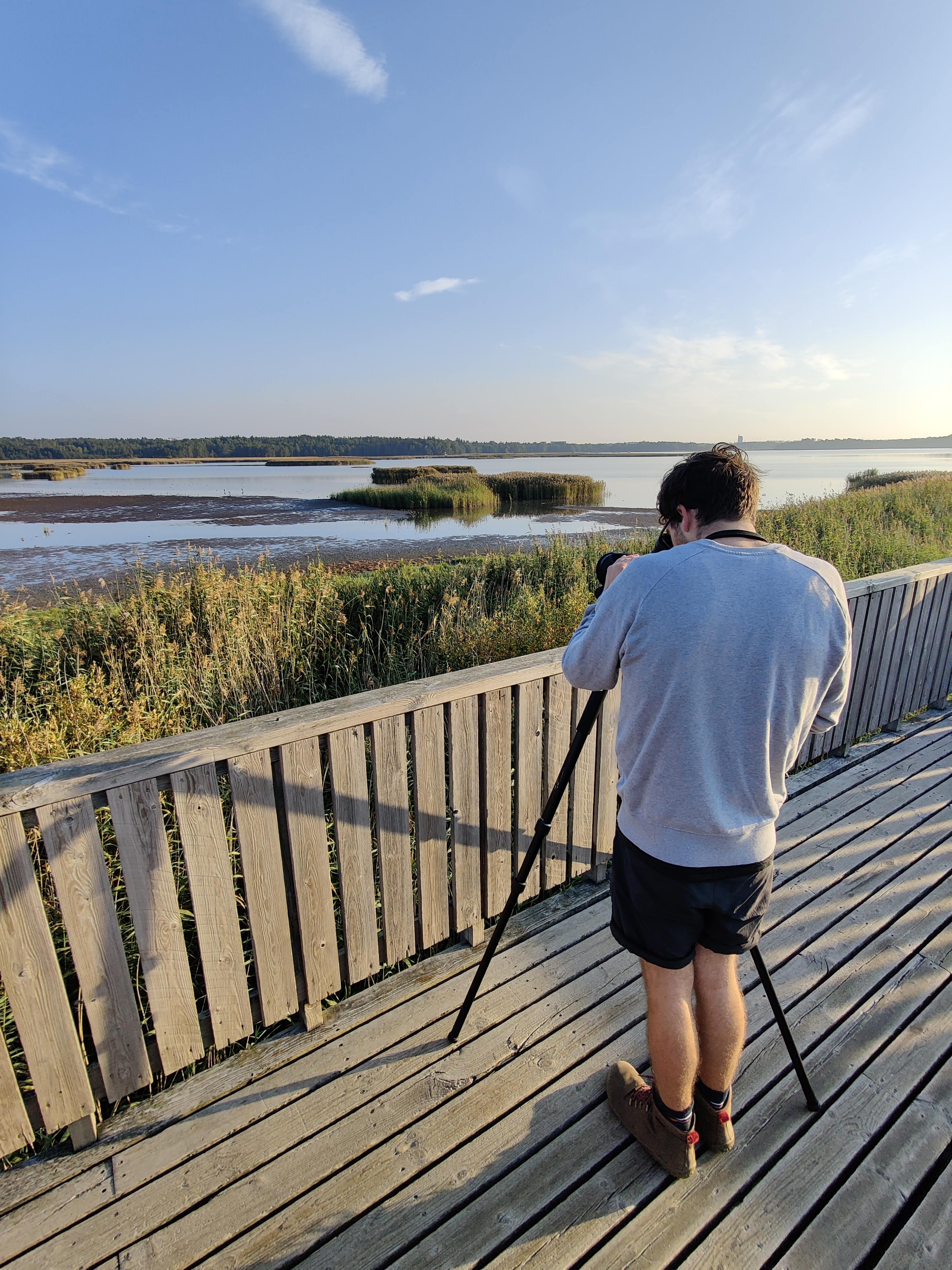 Birding in Laajalahti