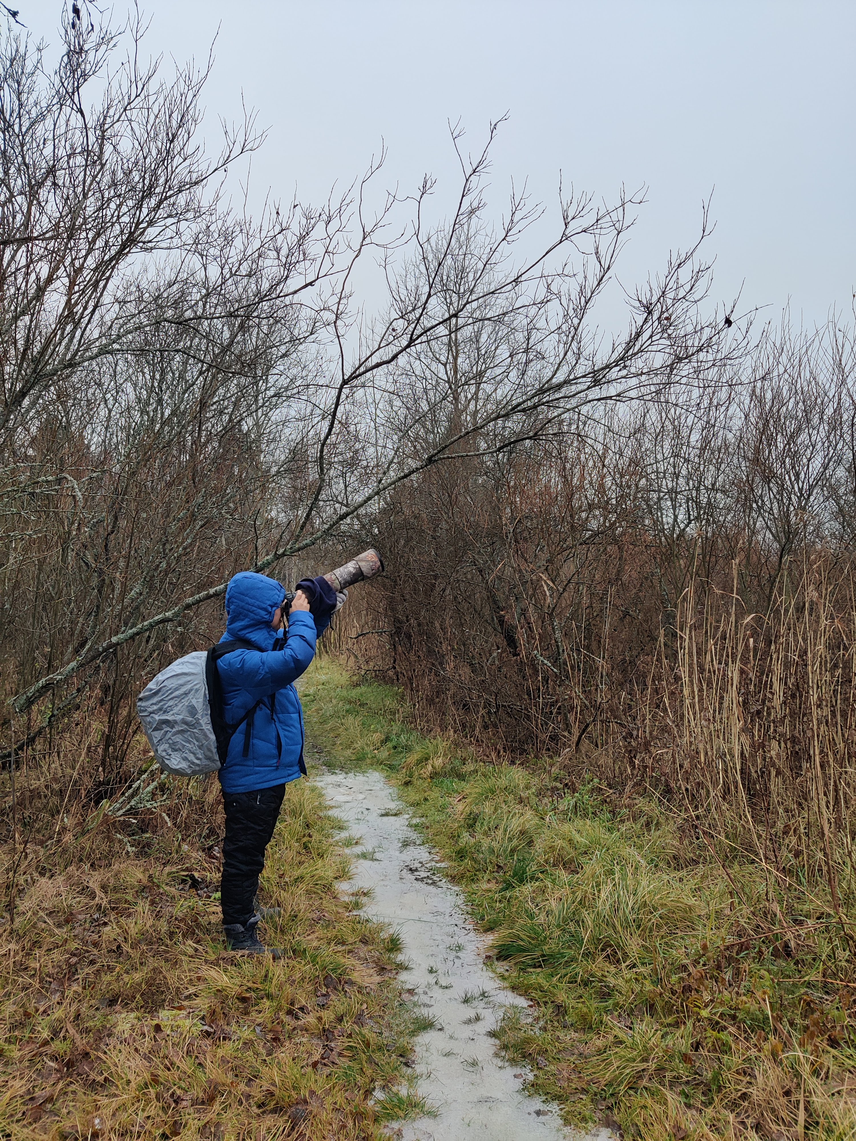 My client taking pictures of a blackbird