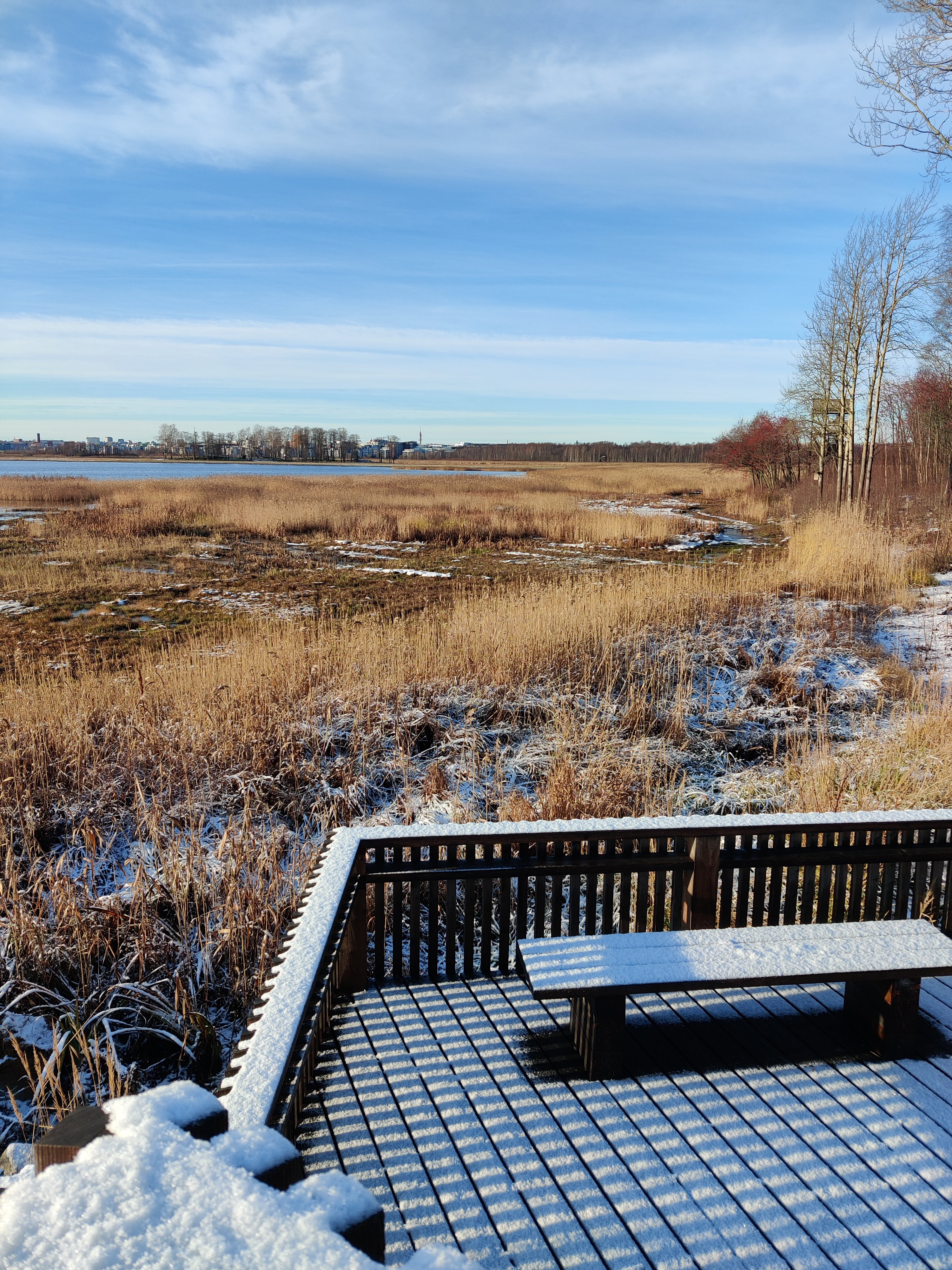 Wetlands in early winter in Helsinki