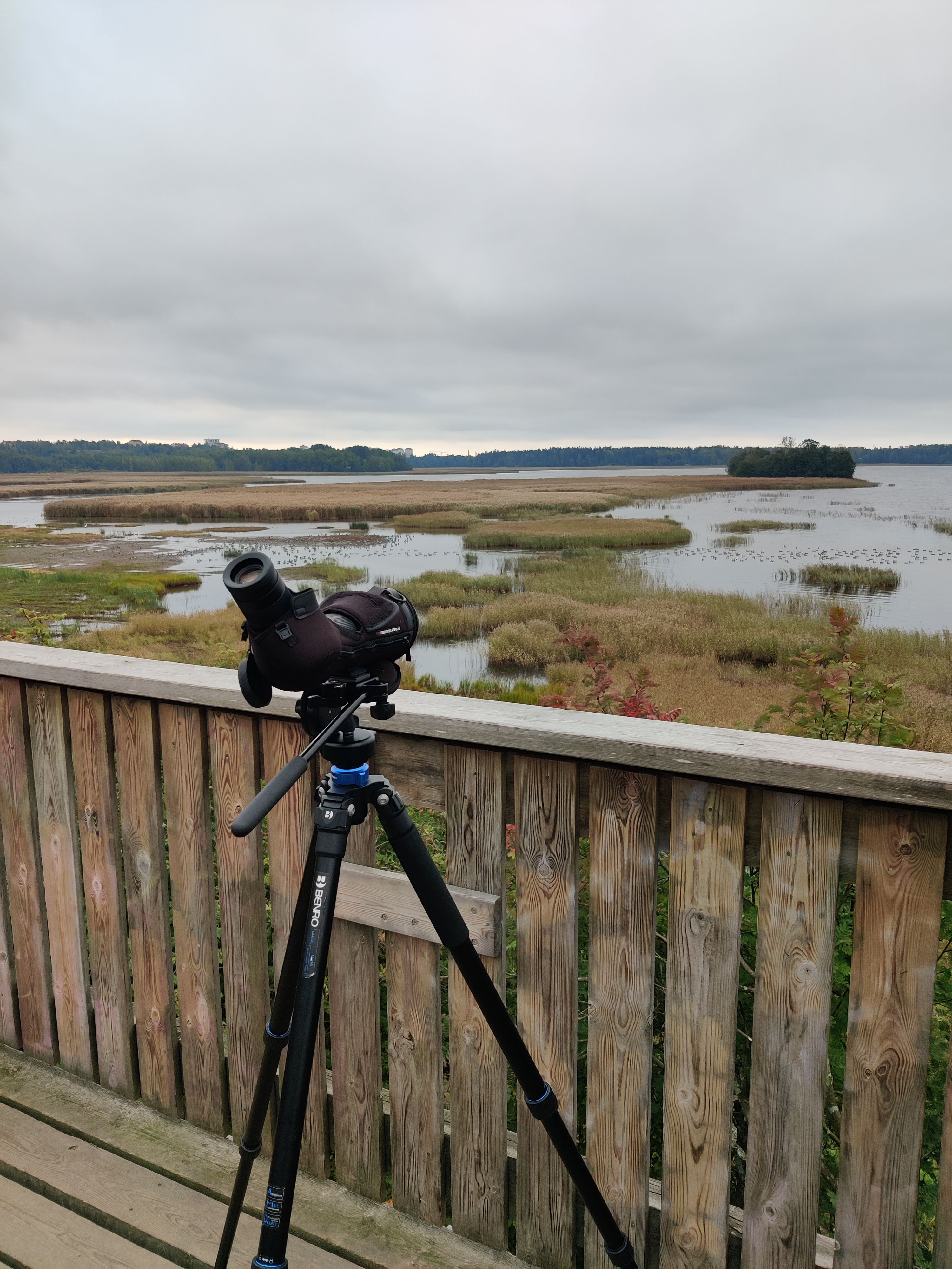 Wetland birding in Helsinki, from a bird tower