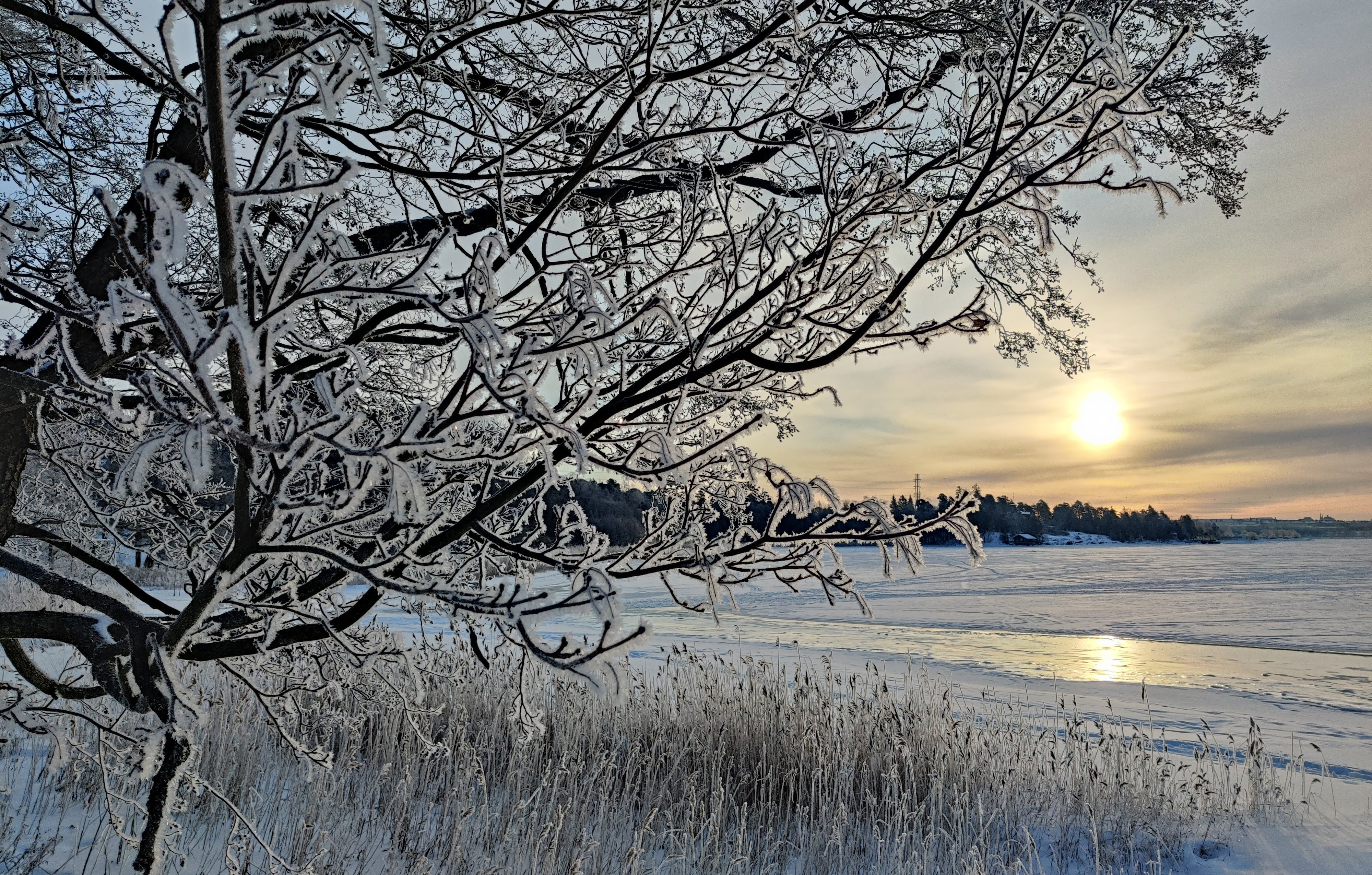 Early sun on a cold winter morning