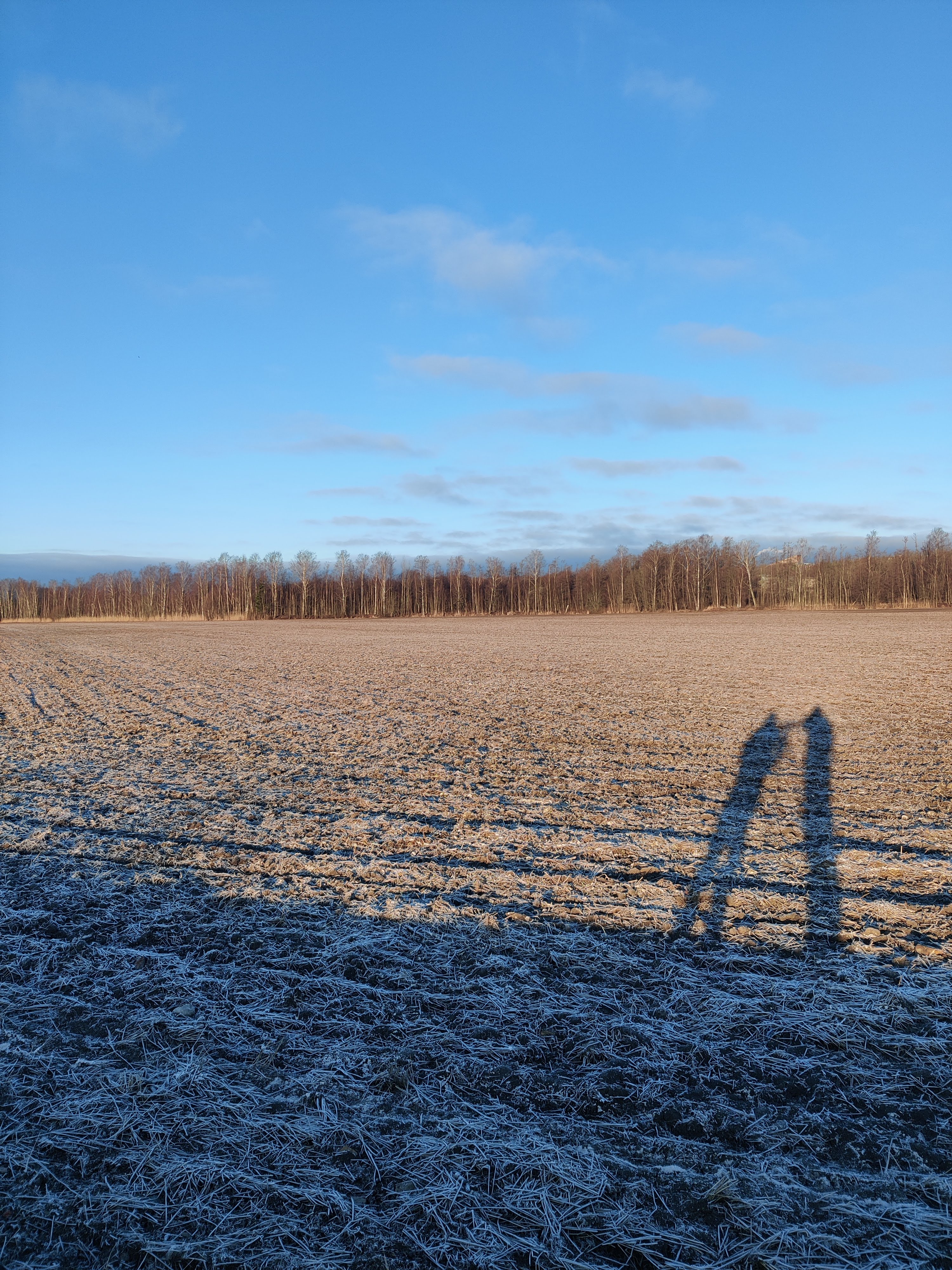 Early spring morning in Helsinki