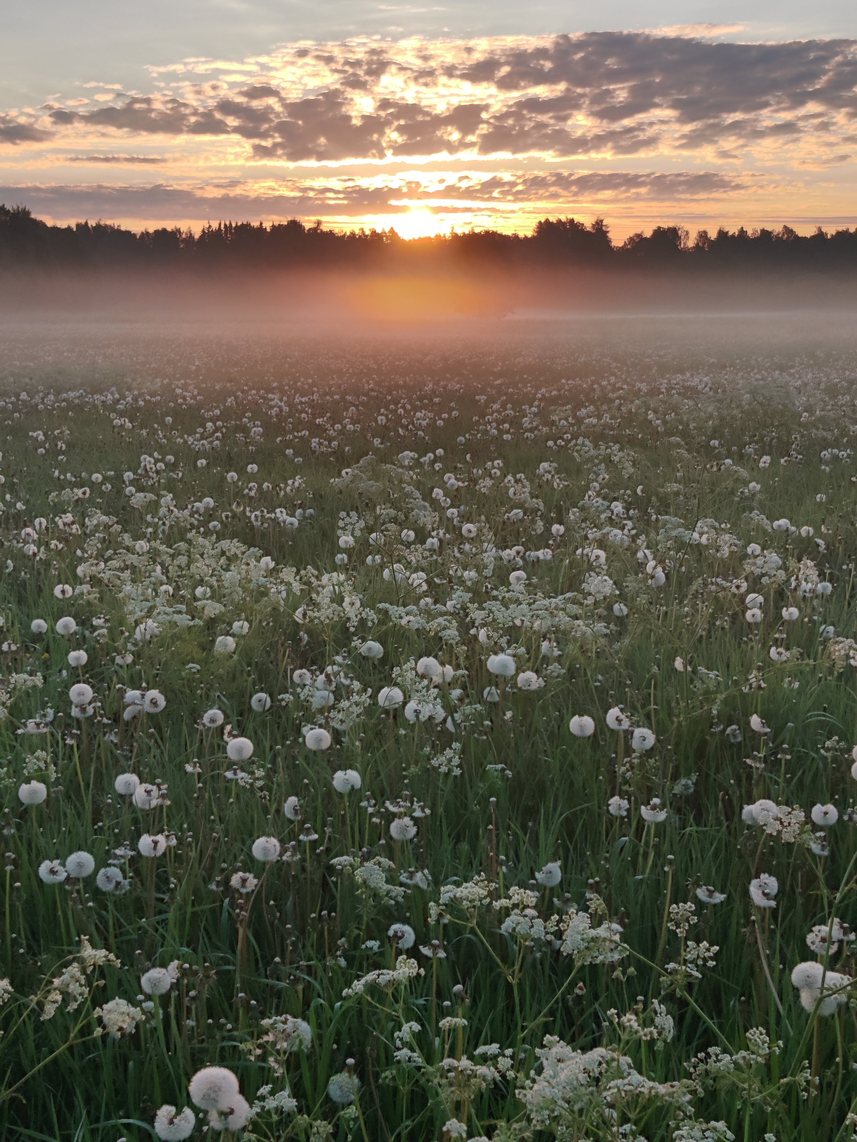 Gorgeous spring morning in Helsinki