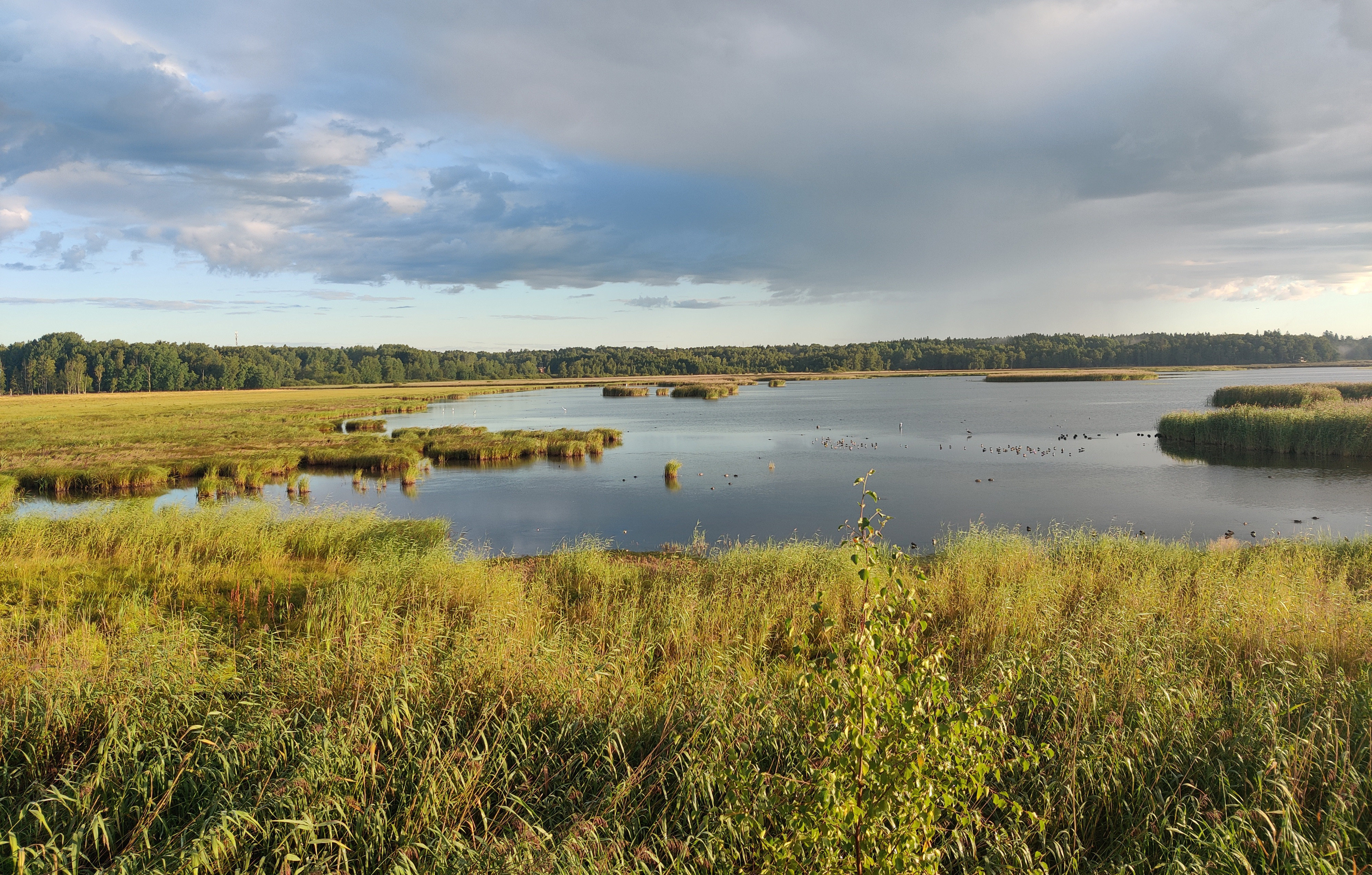 Sunlit bay in the Helsinki region